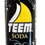 Teem Soda Can 33 Cl