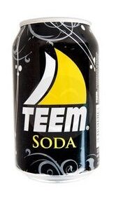 Teem Soda Can 33 Cl